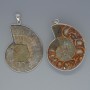 Ammoniten-Anhänger, ca. 35×43 mm bis ca. 37×45 mm groß, Länge ca. 53 mm, in silberfarbener Fassung, Größen variieren