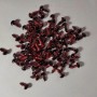 Zubehör „Lebendige Augen“ in roter Farbe, Durchmesser 8 mm, Verpackung 50 Paare