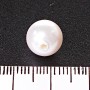 Schmuckzubehör – weiße Perle, einseitig gebohrt, Durchmesser 10 mm, 18 Stück