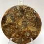Souvenirplatte mit versteinertem Ammonit, Durchmesser ca. 11 cm +/- mit Unterlage 15×10 cm+