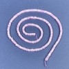 Kunzit-Perlen, quadratisches Rondell 2,5 × 1 mm ± auf der Schnur, Länge ca. 39 cm+