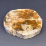 Preis pro 100 g. Souvenir-Scheibe aus versteinertem Holz, Maße ~ 90×80×23 mm ± Gewicht 250 g