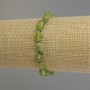 Armband Chrysolith getrommelte Rondellen, Durchmesser ca. 7–9 × 6 mm ±; Chrysoprase facettierte Rondellen 3,5 × 3 mm ±; Länge ca. 18 cm ± Stretch