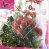 Geschenktüte 24×18 cm (PE-Material)