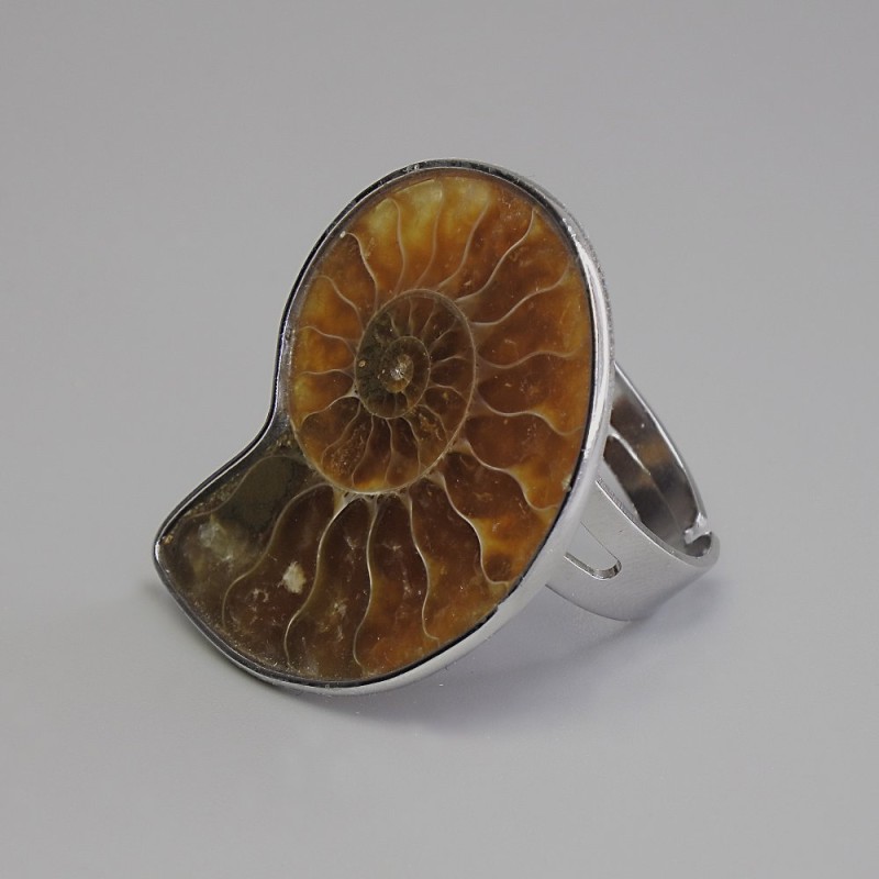 Ammonit-Ring, 25×30 mm ±, Metall silberfarben