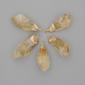 Anhänger Citrin, bearbeitet, assortiert, Größen 28–33×10–15 mm ±, goldfarbenes Metall