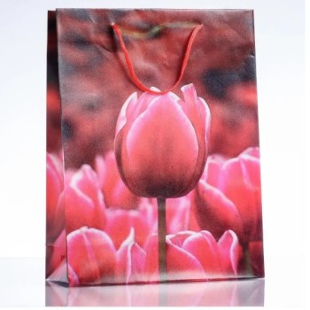 Ausverkauf! Geschenkbeutel 18 × 24 cm (PE-Material)