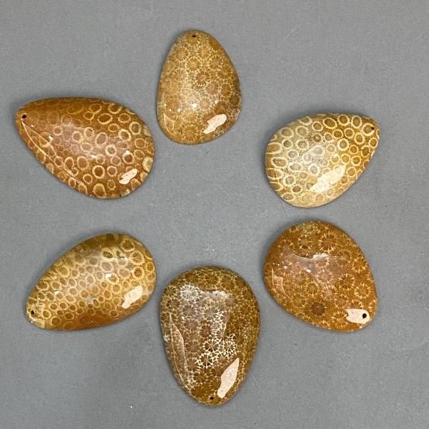 Anhänger aus versteinertem Korallen 45-55 × 35-40 mm +/- assortierte Größen