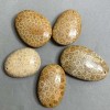 Versteinertes Korallen-Anhänger 40–55 × 30–40 mm ± assortiert nach Größe