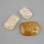 Cabochon aus fossiler Koralle 30-36 × 20-25 mm ± (Größenmix)