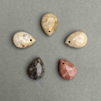 Anhänger aus fossilierter Koralle – Tropfen, Durchmesser 20×14 mm+