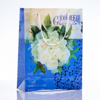 Geschenkbeutel 24×18 cm (PE-Material)