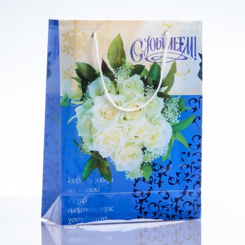 Geschenkbeutel 24×18 cm (PE-Material)