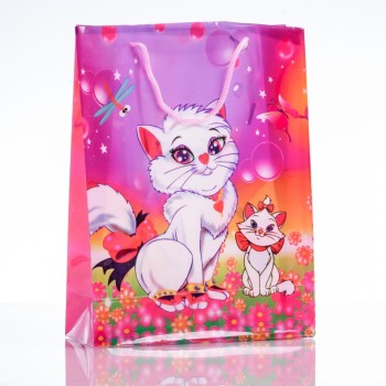 Geschenkbeutel 24×18 cm (PE-Material)