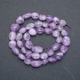 Amethyst-Facettierte Rondelle-Perlen auf Schnur, Durchmesser 8 x 6 mm, Länge 41 cm +
