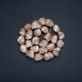Perlen auf Schnur, natürlicher Beige-Ton, Perlmutt, flachoval, Durchmesser 19×12 mm, Länge ca. 41 cm +