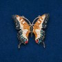 Sonderangebot! Brosche Schmetterling mit bunten Strasssteinen, goldfarbenes Metall 50×55 mm +