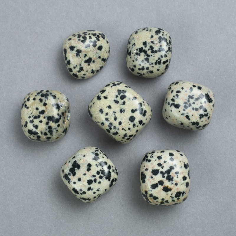 Dalmatiner-Jaspis Naturstein, Durchmesser ca. 22×20 mm (Verpackung 100 g)