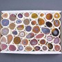 Souvenir-Geode aus Karneol, in verschiedenen Größen (Preis pro Box)