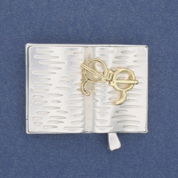 Brosche 'Buch mit Brille' hellgraue Emaille und goldfarbene Emaille, silberfarbenes Metall 35×26 mm