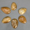 Pendant Fossilized Coral 45-55×35-40 mm ± assorted size