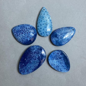 Petrified Coral Pendant 50-70×30-45 mm ± assorted sizes