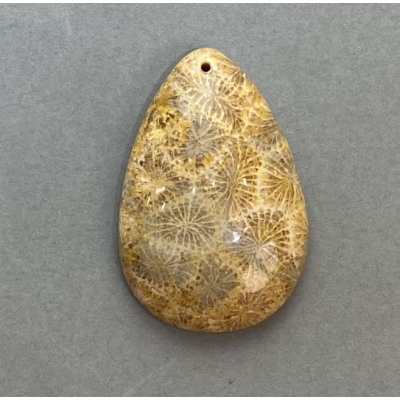 Кулон Скам'янілий Корал 45х29мм+