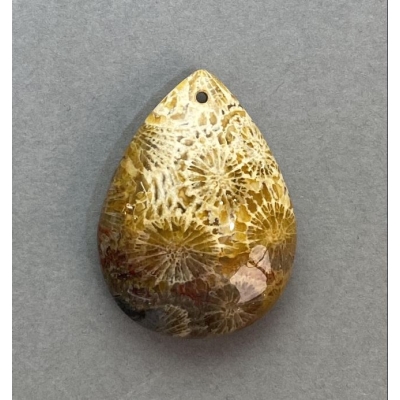 Кулон Скам'янілий Корал 34х25мм+