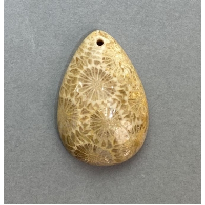 Кулон Скам'янілий Корал 36х24мм+