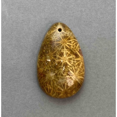 Кулон Скам'янілий Корал 38х24мм+