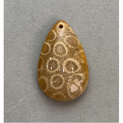 Кулон Скам'янілий Корал 37х23мм+