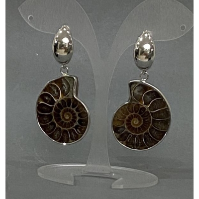 Сережки натуральний Амоніт, діаметр 32х27мм+-, довжина 53мм+
