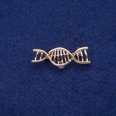 Брошка Спіраль ДНК 13х40мм, золотистий метал