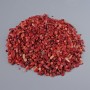 Coral Natural Stone Chip, No Hole, 5mm+ Packaging 100g