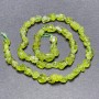 Chrysoprase Beads on Thread Natural Unpolished Stone Tumbled, 8×6 mm, 40 cm length