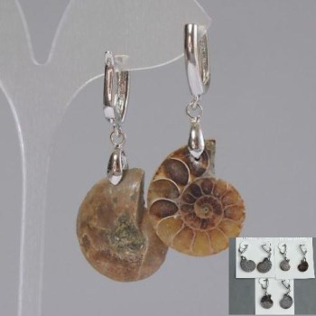 Earrings with natural Ammonites 24x17x6mm,+-, length 50mm+-, assorted sizes