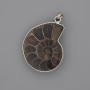 Ammonite Pendant in Silvered Setting 30×26mm ±, length 43mm ± assorted sizes (per 1 pc)