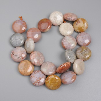 Beads, Fossilized Coral Coin 17.5 mm, on a thread, length 39 cm+