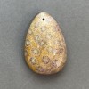 Pendant of Fossilized Coral 39×27 mm+