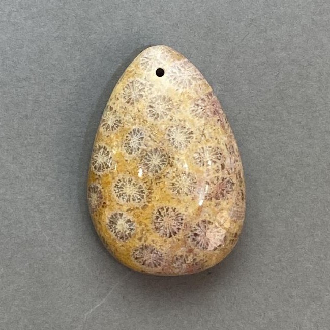 Pendant of Fossilized Coral 39×27 mm+