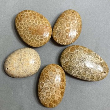 Petrified Coral Pendant 40-55x30-40mm+- assorted size