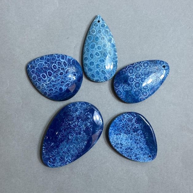 Pendant Fossilized Coral 50-70x30-45 mm +- assorted sizes