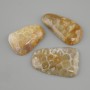 Cabochon Fossil Coral 40-45x19-24mm +- (assorted sizes)