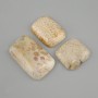 Cabochon Fossil Coral 32-42×24-30 mm ± (assorted sizes)