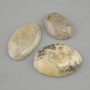 Cabochon Fossilized Coral 29-30x24-49mm +- (assorted sizes)
