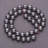 Natural Hematite Stone Beads on Fishing Line, Smooth Round Bead, 10mm Diameter, 38cm Length
