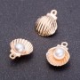 Finding Pendant Shell with Pearl "Light Gold", diameter 12mm, length 15mm hole dia. mm pack 7pcs