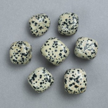 Dalmatian Jasper Natural Stone, diameter 22x20mm± (packaging 100g)