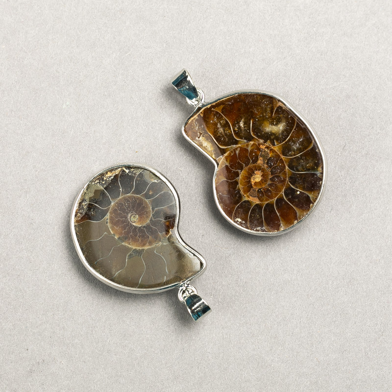 Ammonite Pendant in Silver Plated Mount, Assorted Sizes from 20x30mm± to 30x40mm± (per 1 piece)