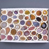 Souvenir Geode with Carnelian Assorted Sizes (price per box)
